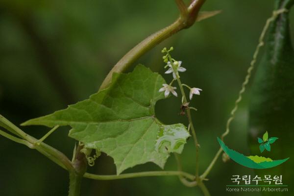 산외