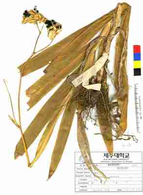 specimen image