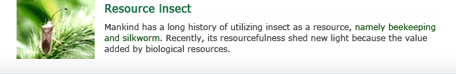 Mankind has a long history of utilizing insect as a resource, namely beekeeping and silkworm. Recently, its resourcefulness shed new light because the value added by biological resources.